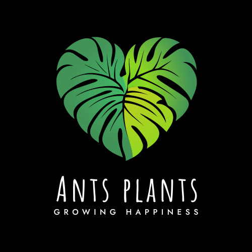Plant Tissue Culture Starter Bundle